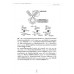 วิศวกรรมแอนติบอดี (antibody engineering) การประยุกต์ทางเทคโนโลยีชีวการแพทย์