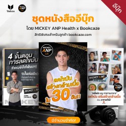 Mickey ANP Promotion Set 4