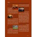 Vol. 4 | 2010