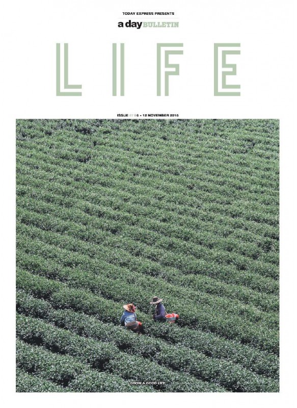 a day BULLETIN LIFE ISSUE87