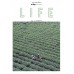 a day BULLETIN LIFE ISSUE87