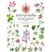 สารานุกรมพืช ในประเทศไทย (ฉบับย่อ)
