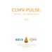 CLMV Pulse  ชีพจรอาเซียน - พฤติกรรมผู้บริโภคประเทศลาว 2013