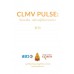 CLMV Pulse  ชีพจรอาเซียน - พฤติกรรมผู้บริโภคประเทศลาว 2013