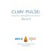 CLMV Pulse  ชีพจรอาเซียน - พฤติกรรมผู้บริโภคประเทศเมียนมาร์ 2013