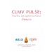 CLMV Pulse  ชีพจรอาเซียน - พฤติกรรมผู้บริโภคประเทศเวียดนาม 2013