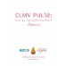 CLMV Pulse  ชีพจรอาเซียน - พฤติกรรมผู้บริโภคประเทศเวียดนาม 2013