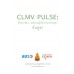 CLMV Pulse  ชีพจรอาเซียน - พฤติกรรมผู้บริโภคประเทศกัมพูชา 2013