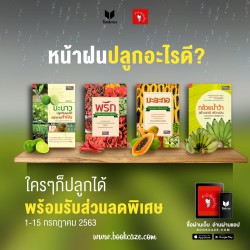 หน้าฝนปลูกอะไรดี