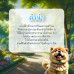 การผจญภัยของเควิ่น การผจญภัยของเควิ่น