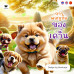 การผจญภัยของเควิ่น การผจญภัยของเควิ่น