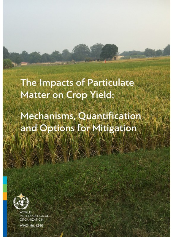 The Impacts of Particulate Matter on Crop Yield: Mechanisms, Quantification and Options for Mitigation