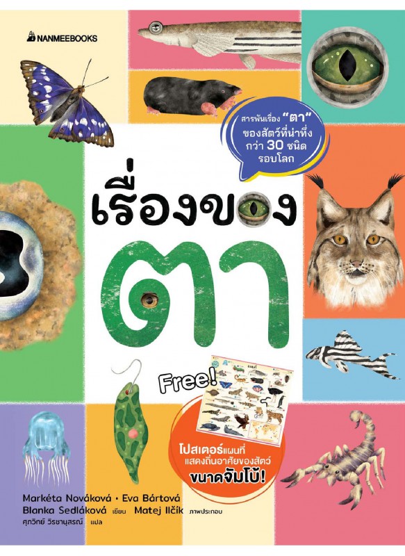 เรื่องของตา เรื่องของตา