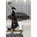 The Girl from the Other Side เด็กหญิงจากอีกฟากฝั่ง เล่ม 2