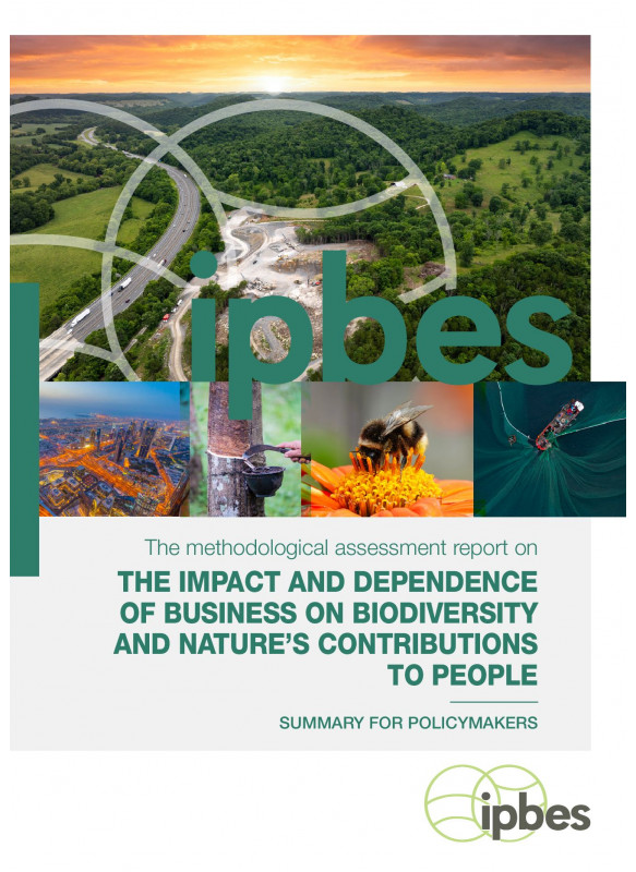 The methodological assessment report on THE IMPACT AND DEPENDENCE OF BUSINESS ON BIODIVERSITY AND NATURE’S CONTRIBUTIONS TO PEOPLE