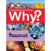 Why? หินและแร่