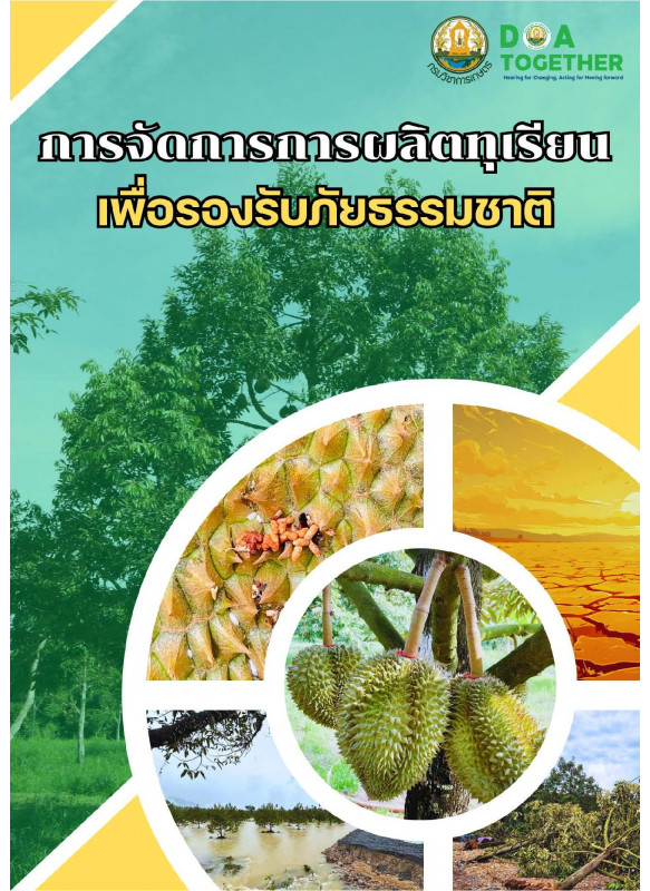 การจัดการการผลิตทุเรียนเพื่อรองรับภัยธรรมชาติ