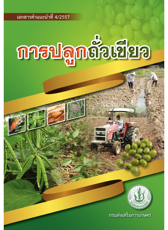 การปลูกถั่วเขียว