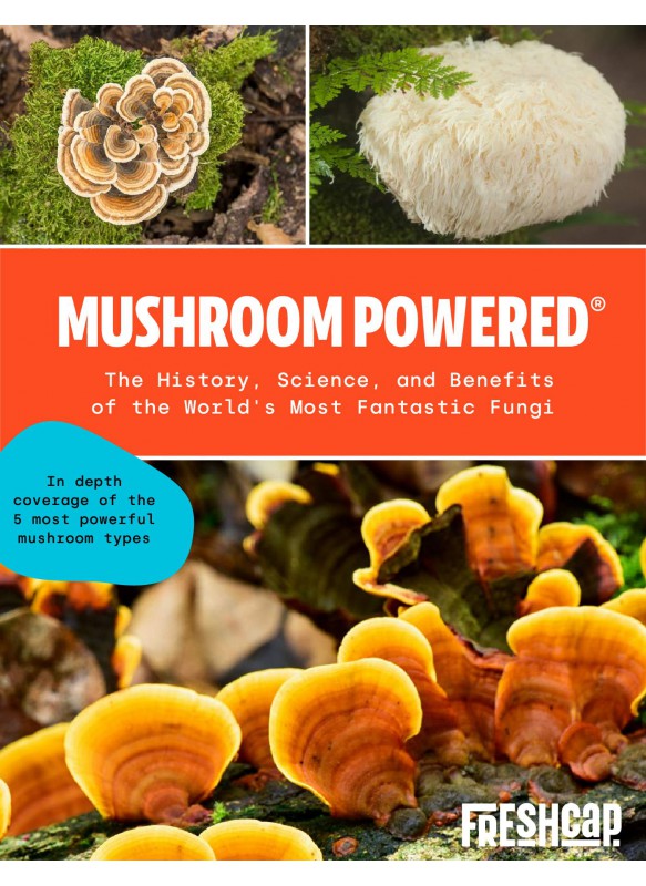 Mushroom Powered