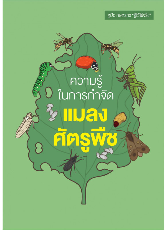 ความรู้ในการกำจัดแมลงศัตรูพืช