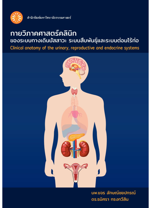 กายวิภาคศาสตร์คลินิกของระบบทางเดินปัสสาวะระบบสืบพันธุ์ และระบบต่อมไร้ท่อ