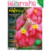 หมอชาวบ้าน ฉบับ 560 เดือนธันวาคม 68