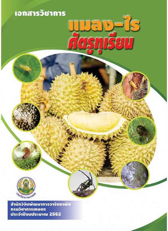 แมลง-ไร ศัตรูทุเรียน