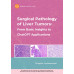 Surgical Pathology of Liver Tumors: From Basic Insights to ChatGPT Applications
