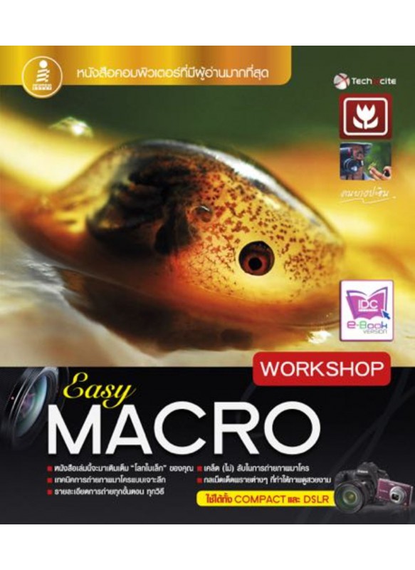 Easy Macro Workshop