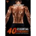 40 ESSENTIAL BACK WORKOUTS รวมท่าออกกำลังกายเล่นหลัง