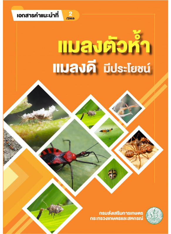 แมลงตัวห้ำ แมลงดีมีประโยชน์