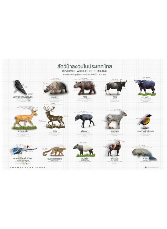 หนังสือภาพสัตว์ป่าสงวน 2535
