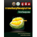 คู่มือการผลิตทุเรียนจังหวัดชุมพร