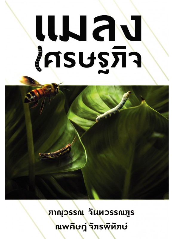 แมลงเศรษฐกิจ 2561