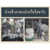 introduction to biochar