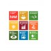 SDG Goals Booklet Rus