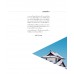 Composition การจัดองค์ประกอบสำหรับการถ่ายภาพ