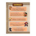 Cookierun kingdom Adventure 11