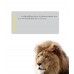 Mac OS X Lion ฉบับสมบูรณ์