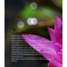 Easy Macro Workshop