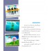 Premiere Pro + After Effects Premiere Pro + After Effects