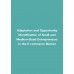 Adaptation and Opportunity Identification of Small and Medium-Sized Entrepreneurs in the E-commerce Market