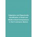 Adaptation and Opportunity Identification of Small and Medium-Sized Entrepreneurs in the E-commerce Market