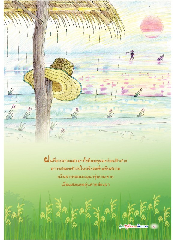 ทุ่งนา ทุยโทนและมิตรภาพ ทุ่งนา ทุยโทนและมิตรภาพ