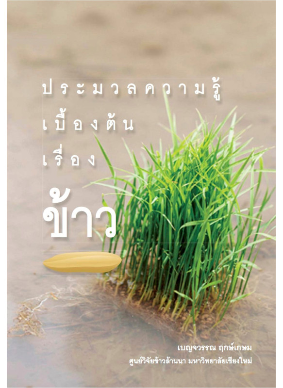 ประมวลความรู้เบื้องต้นเรื่องข้าว