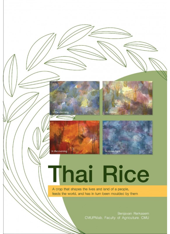 Thai Rice