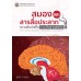 สมองและสารสื่อประสาท : ความผิดปกติในภาวะติดสารเสพติด