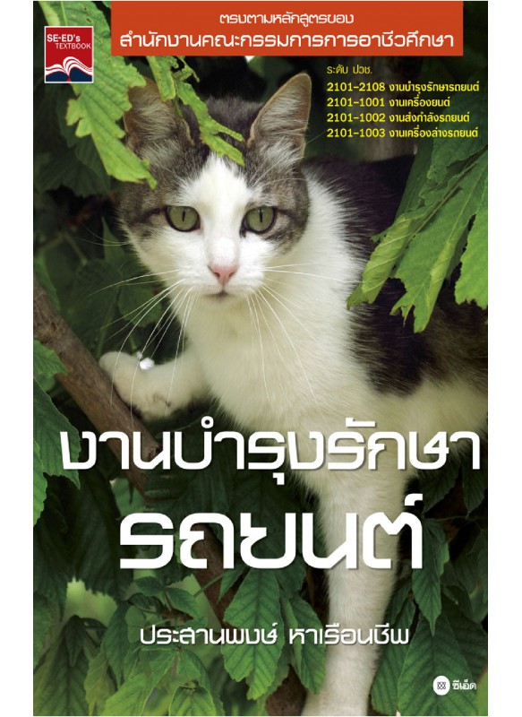 งานบำรุงรักษารถยนต์