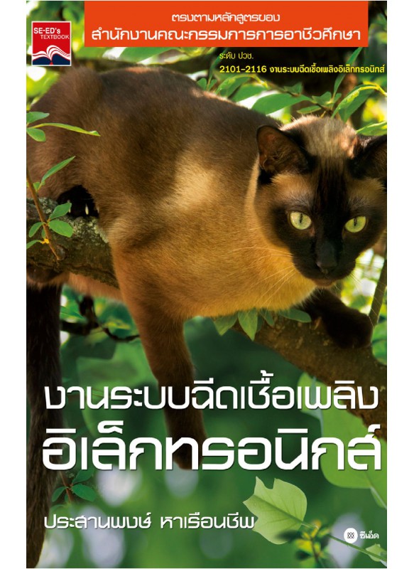 งานระบบฉีดเชื้อเพลิง อิเล็กทรอนิกส์ งานระบบฉีดเชื้อเพลิง อิเล็กทรอนิกส์