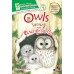 Owls โลกน่ารู้ของ ฮ. นกฮูกตาโต